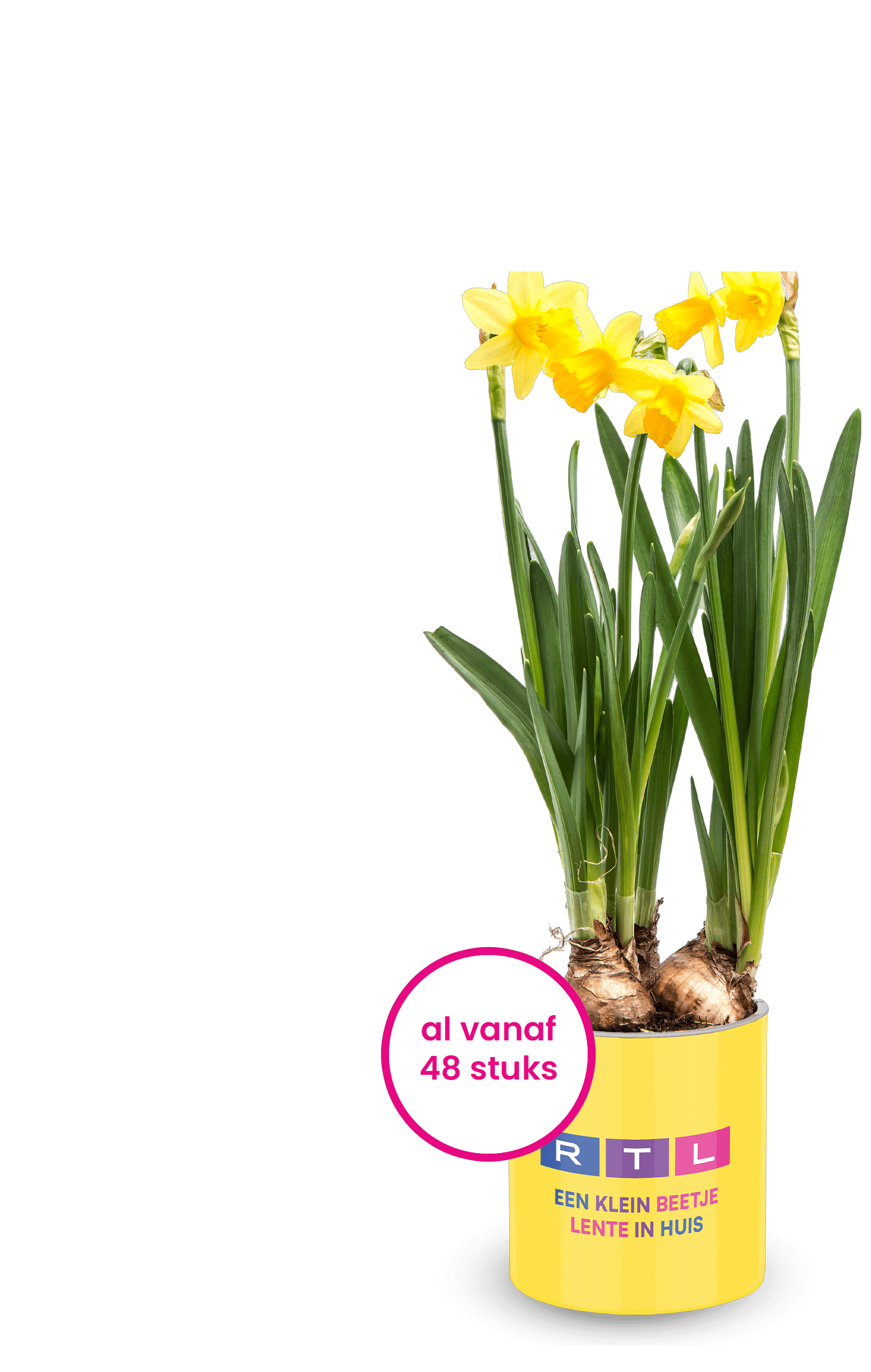 gepersonaliseerde bloembol Pasen