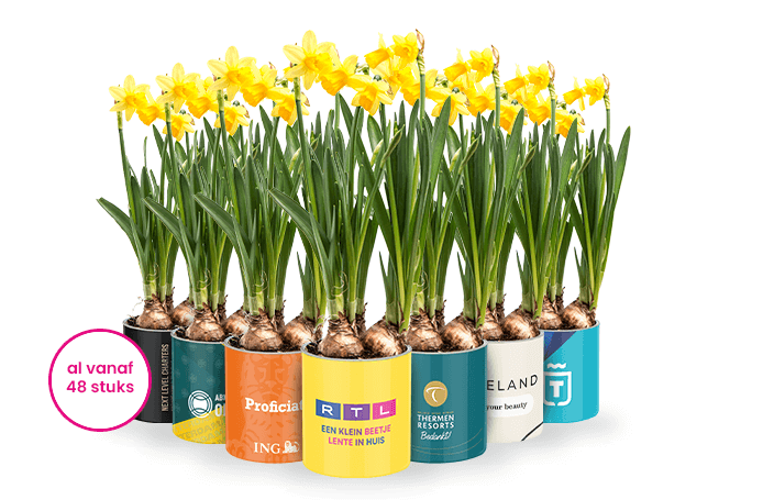 bloembol met eigen ontwerp